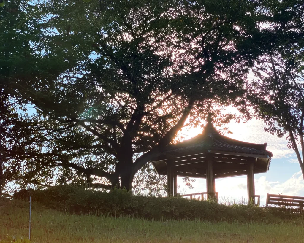 노을