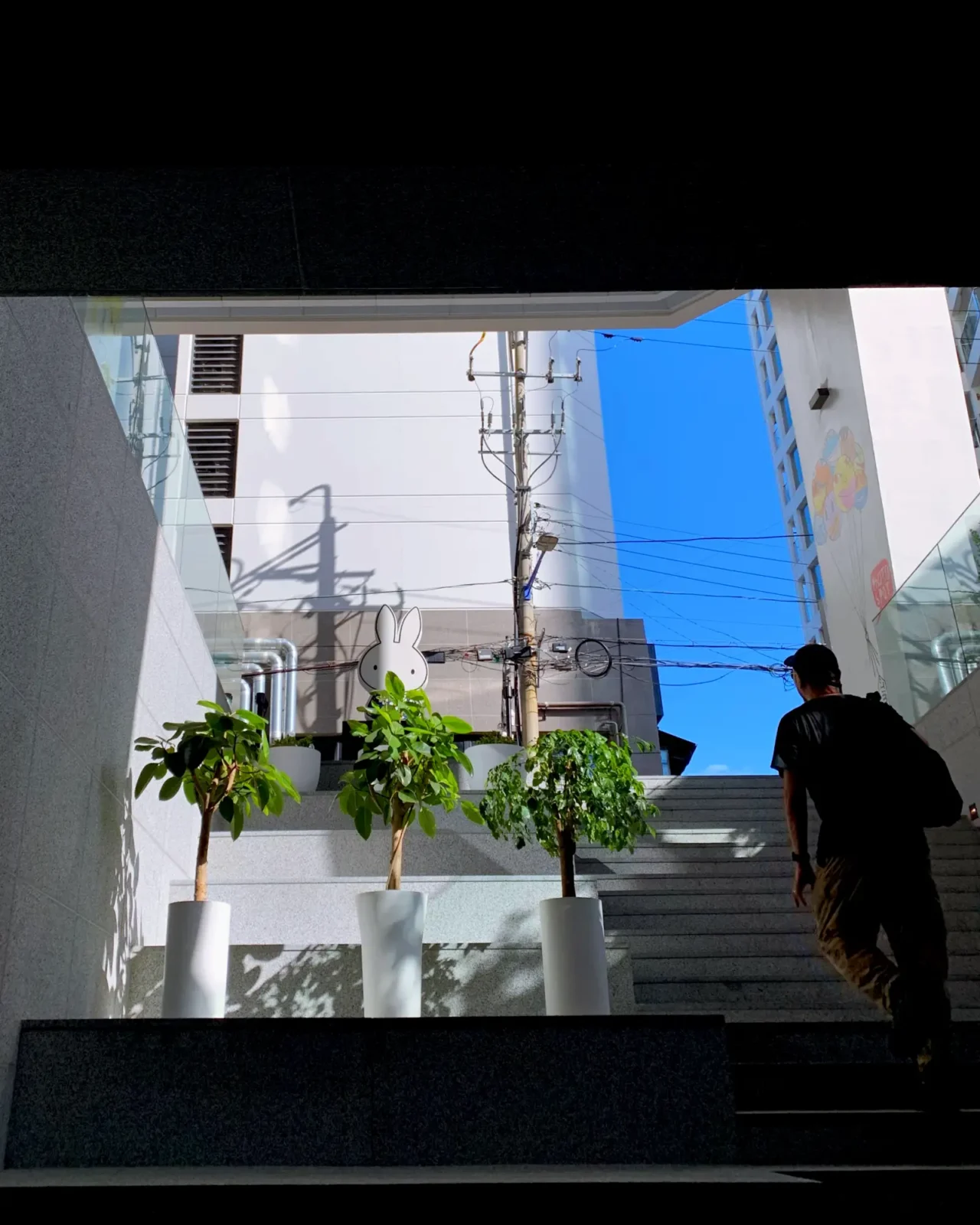 미피 팝업스토어 입구