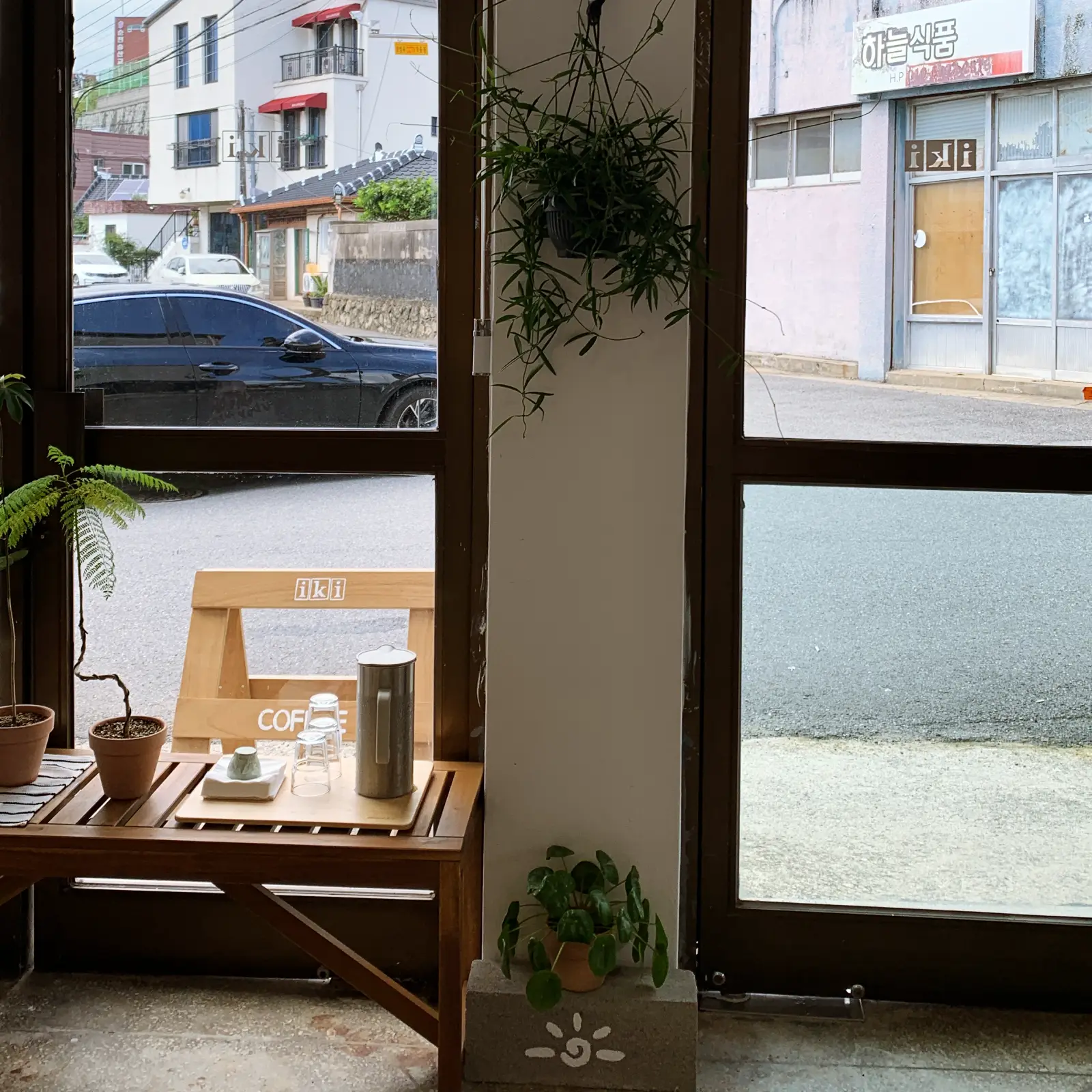 이키 내부 식물