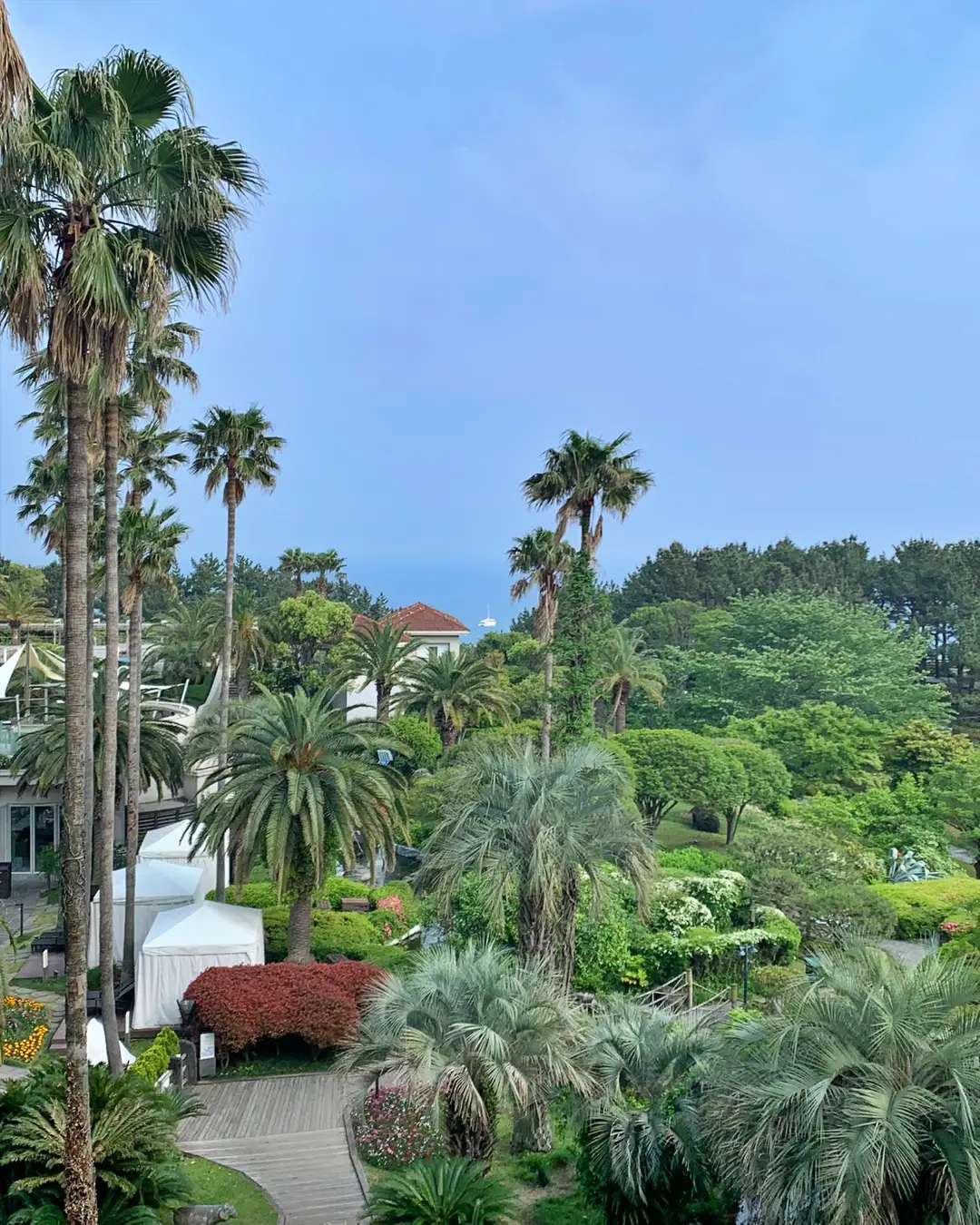 제주 신라호텔 전경