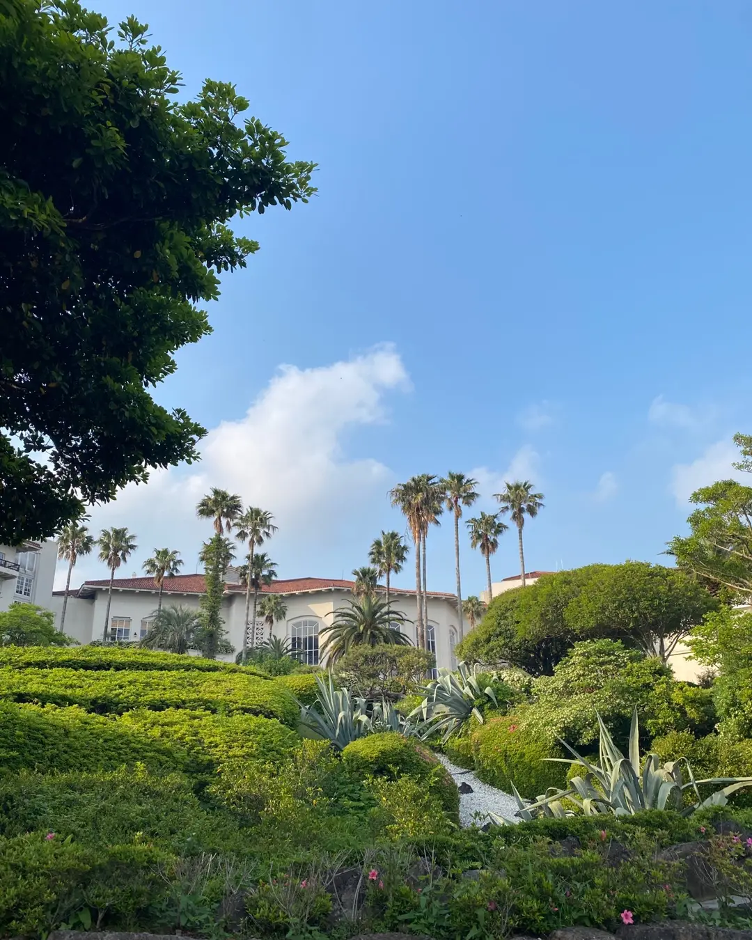 제주 신라호텔 정원 산책