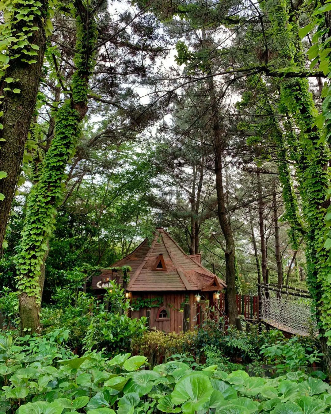 제주 신라호텔 정원 산책