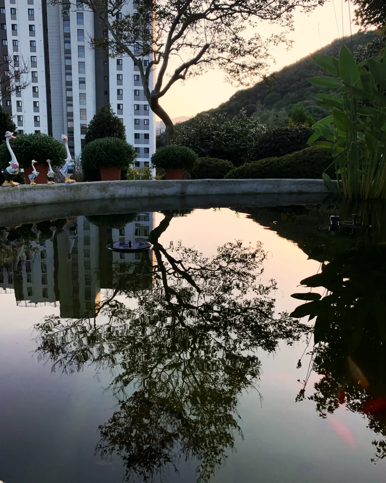 순천 애견동반 정원 카페 캐슬브릿지 연못